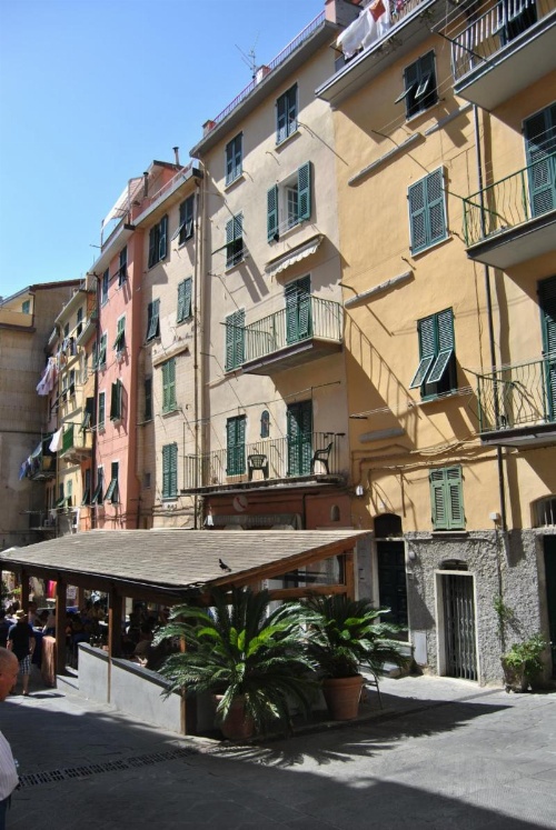Banchi image 4